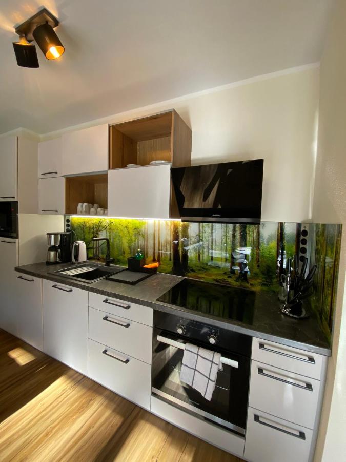 Rollstuhlgerechtes Ferienapartment A1 Wilisch 65qm Amtsberg